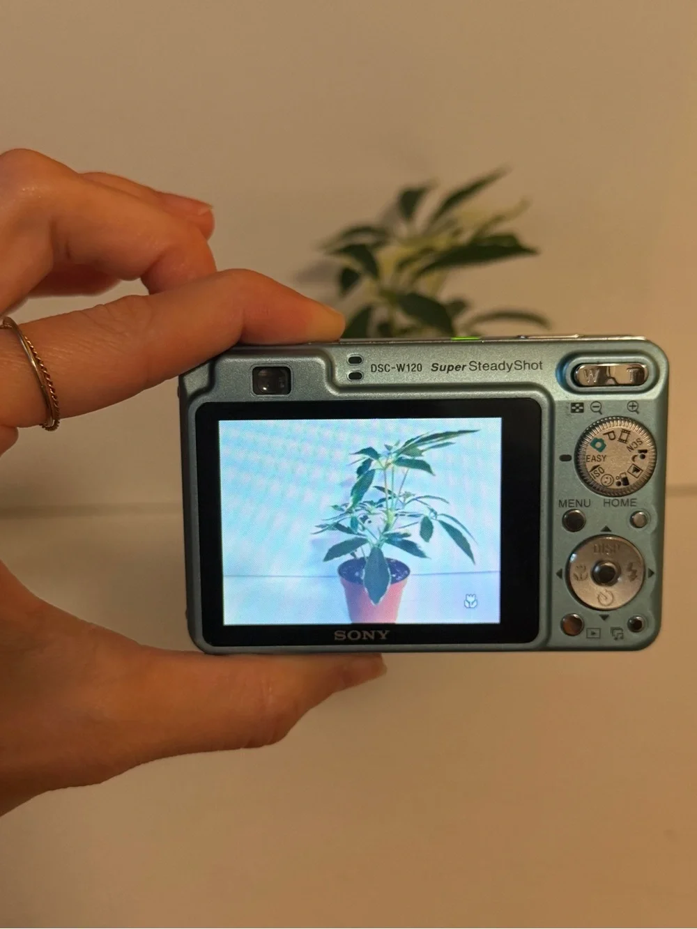 Sony Cyber-shot DSC-W120 Compact Digicam 7.2MP 4x Zoom IS Blue